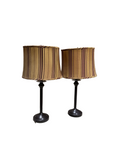 Pair of Modern Style Lamps with Shades