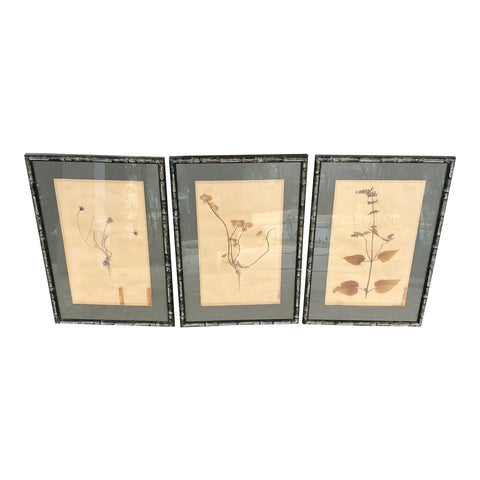 Verdigris Bamboo Frame Foliage Flower Press Art - Set of 3 - FREE SHIPPING!