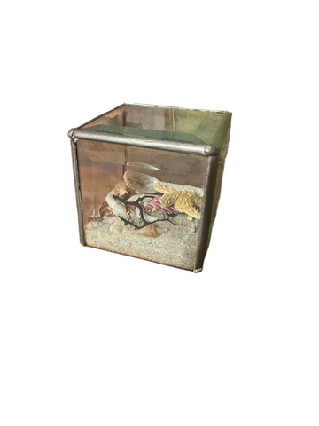Soldered Glass Cube Filled With Sand and Beach Scene