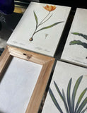 1970s Collection of Floral Signed Prints on Canvas - Set of 4