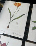 1970s Collection of Floral Signed Prints on Canvas - Set of 4