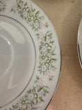 Collection of Floral Plates With Silver Lining- Set of 11