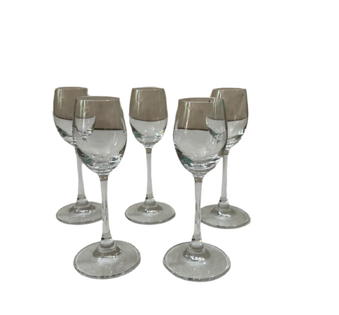 Collection of Simple Stemmed Shot Glasses- Set of 5