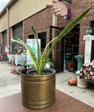 Vintage Brass Round Hand Hammered Planter