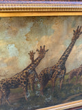 Large Framed Painting of Giraffes in Wild