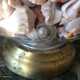 1970s Collected Seashells Nautical Table Lamp