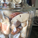 1970s Collected Seashells Nautical Table Lamp