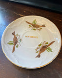 1970s Ceramic New Mexico Teacup and Saucer With Bird Accents