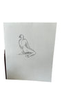 Front and Back Posed Nudist Drawings