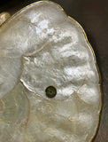 Mother of Pearl Pair of Shell Design Plates