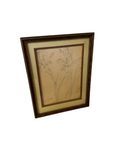 Framed and Signed Drawing of a Flower