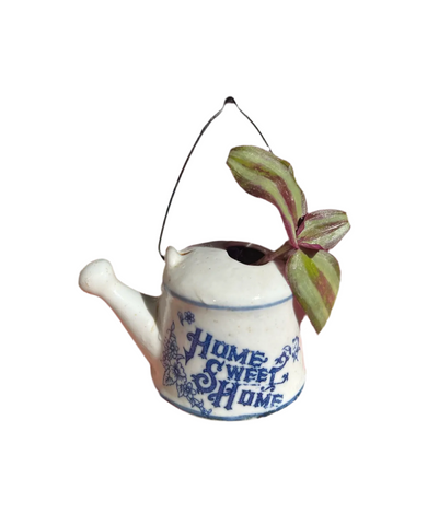 Mini Propagation Blue and White Tea Kettle