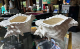 Pair of Large White Ceramic Shell Style Planters