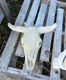Large Concrete Bull Western Horn