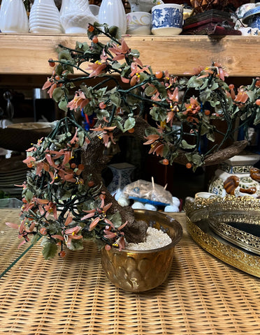 Large Curvy Jade Plant in Brass Pot