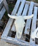 Large Concrete Bull Western Horn