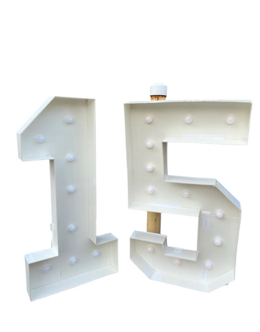 (Rentable Only) White Light-Up Number 15 Photo Prop