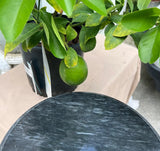Vintage Black Marble Lazy Susan Serving Piece