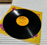 The Jimi Hendrix Experience- Are You Experienced Vintage Vinyl