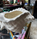 Pair of Large White Ceramic Shell Style Planters