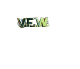 VFW Vintage Gold Pin