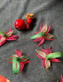 Handmade Poinsettias Napkin Rings- Set of 6