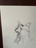 Small Detailed Drawing of a Cat