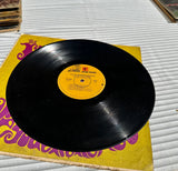 The Jimi Hendrix Experience- Are You Experienced Vintage Vinyl