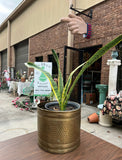 Vintage Brass Round Hand Hammered Planter