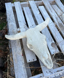 Large Concrete Bull Western Horn