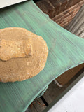 Small Round Stone Fossil