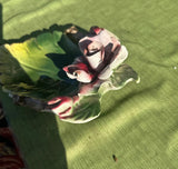 Ceramic Floral Decorative Catchall
