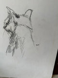 Small Detailed Drawing of a Cat