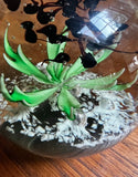 Trio of Green and Blue Glass Paperweights