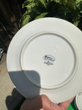 Mikasa First Love Collection of Plates and Tea Set With Pink Rose Accents