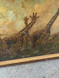 Large Framed Painting of Giraffes in Wild