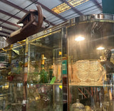 1970s Gorgeous Extra Large Glass Light Up Chanel Display Cabinet