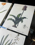 1970s Collection of Floral Signed Prints on Canvas - Set of 4