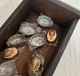 Collection of Brass Pineapple Molds- Set of 13