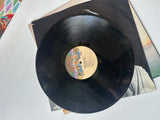 Vintage Sean Delaney "Highway" Vinyl