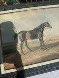 Framed Black Horse on Mountain Top Print on Canvas, Signed by the Artist