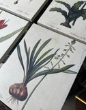 1970s Collection of Floral Signed Prints on Canvas - Set of 4