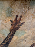 Large Framed Painting of Giraffes in Wild