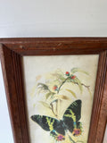 Signed and Framed Watercolor Painting of a Butterfly