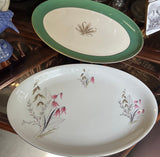 Bavarian Collection of Plates- a Pair