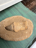Small Round Stone Fossil