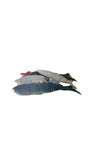 Collection of Portuguese Hand Sewn Fish Pillows