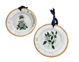Pair of Floral Hanging Decorative Plates