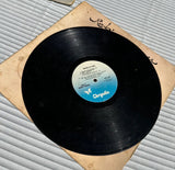 Robin Trower- Bridge of Signs Vintage Vinyl