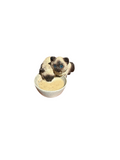 Petite Siamese Cats Drinking Milk